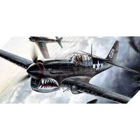 Academy P40 Warhawk Aust Decal 1/72